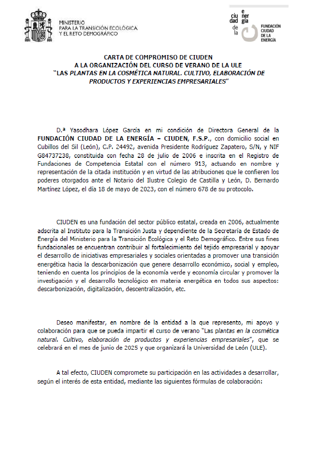 Fundación Ciudad de la Energía